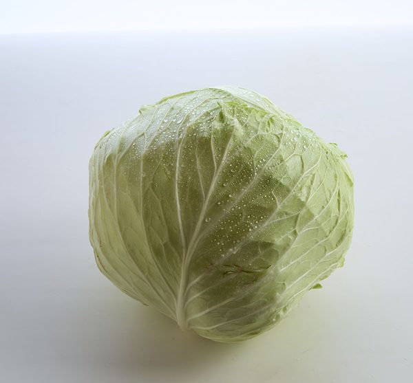 高麗菜